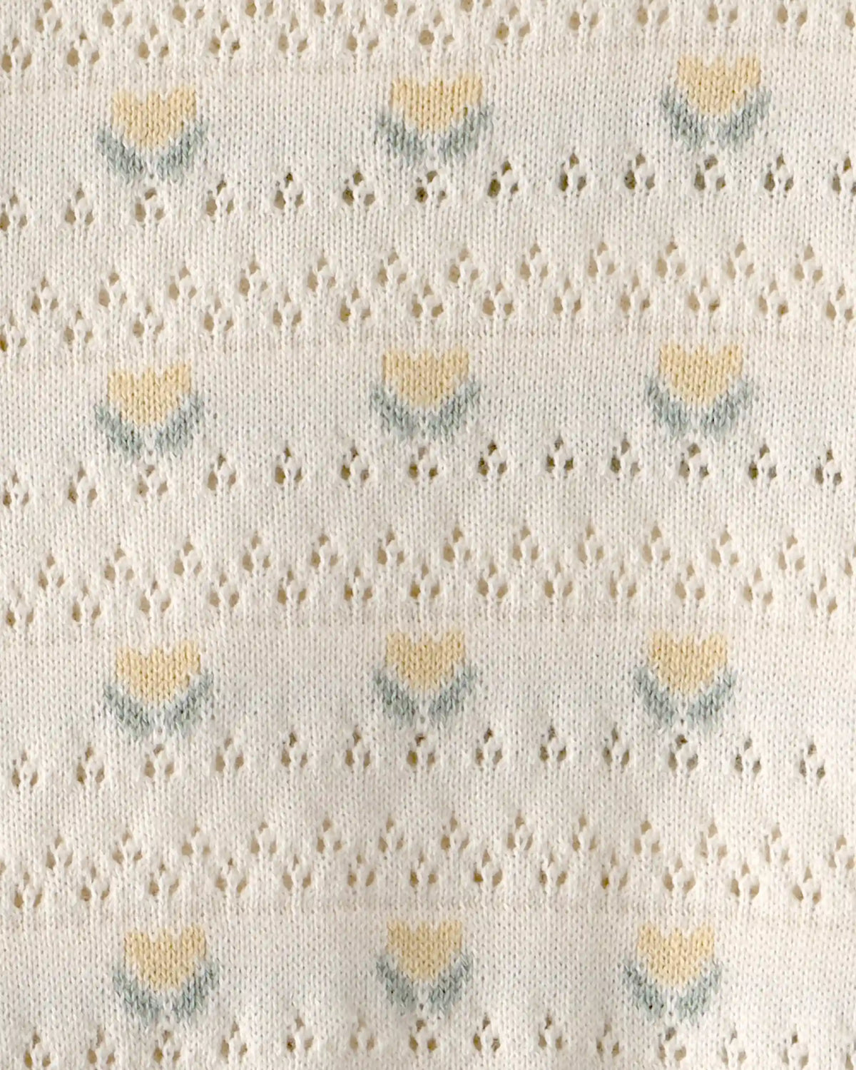 Baby Girl Organic Cotton Sweater Set in Honey Floral Print