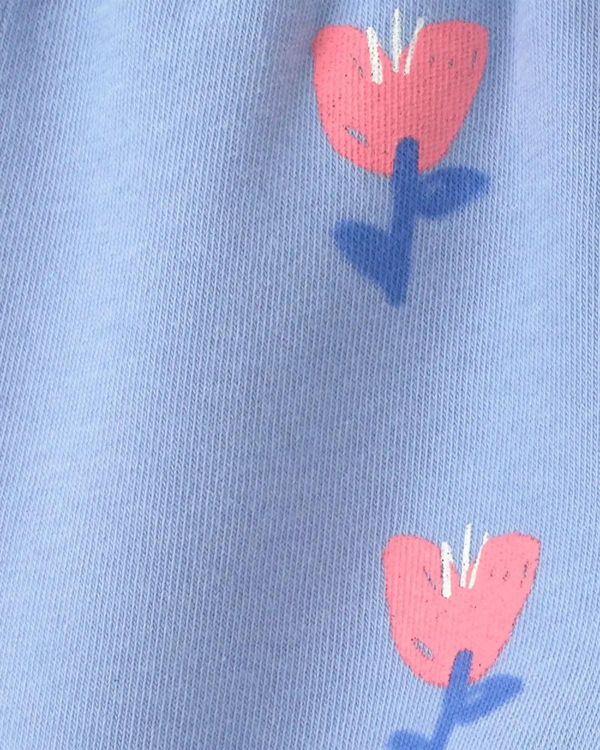 Baby Girl Floral Fleece Pants - Blue