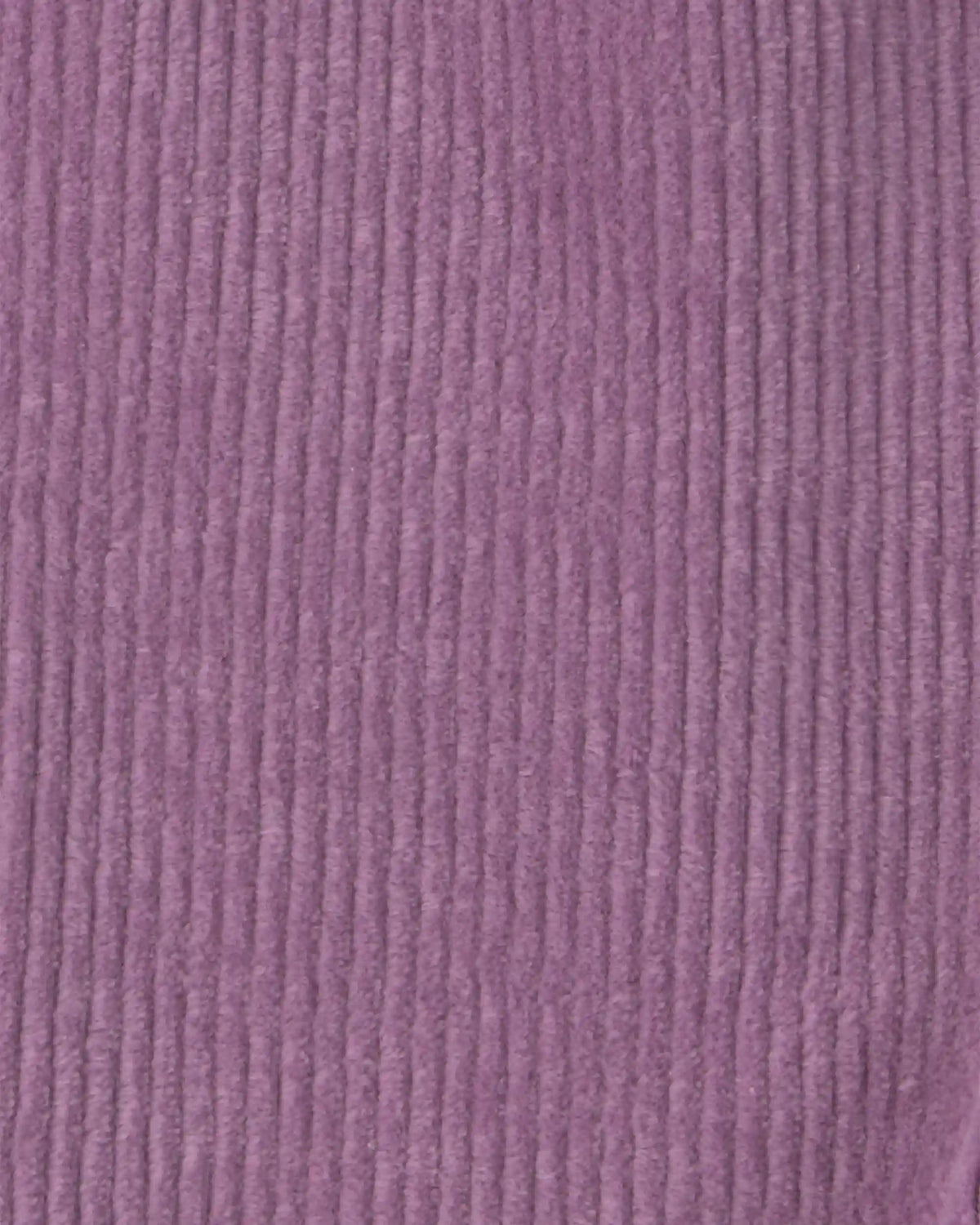 Baby Girl 3-Piece Fox Long-Sleeve Top & Pant Set - Purple/Cream