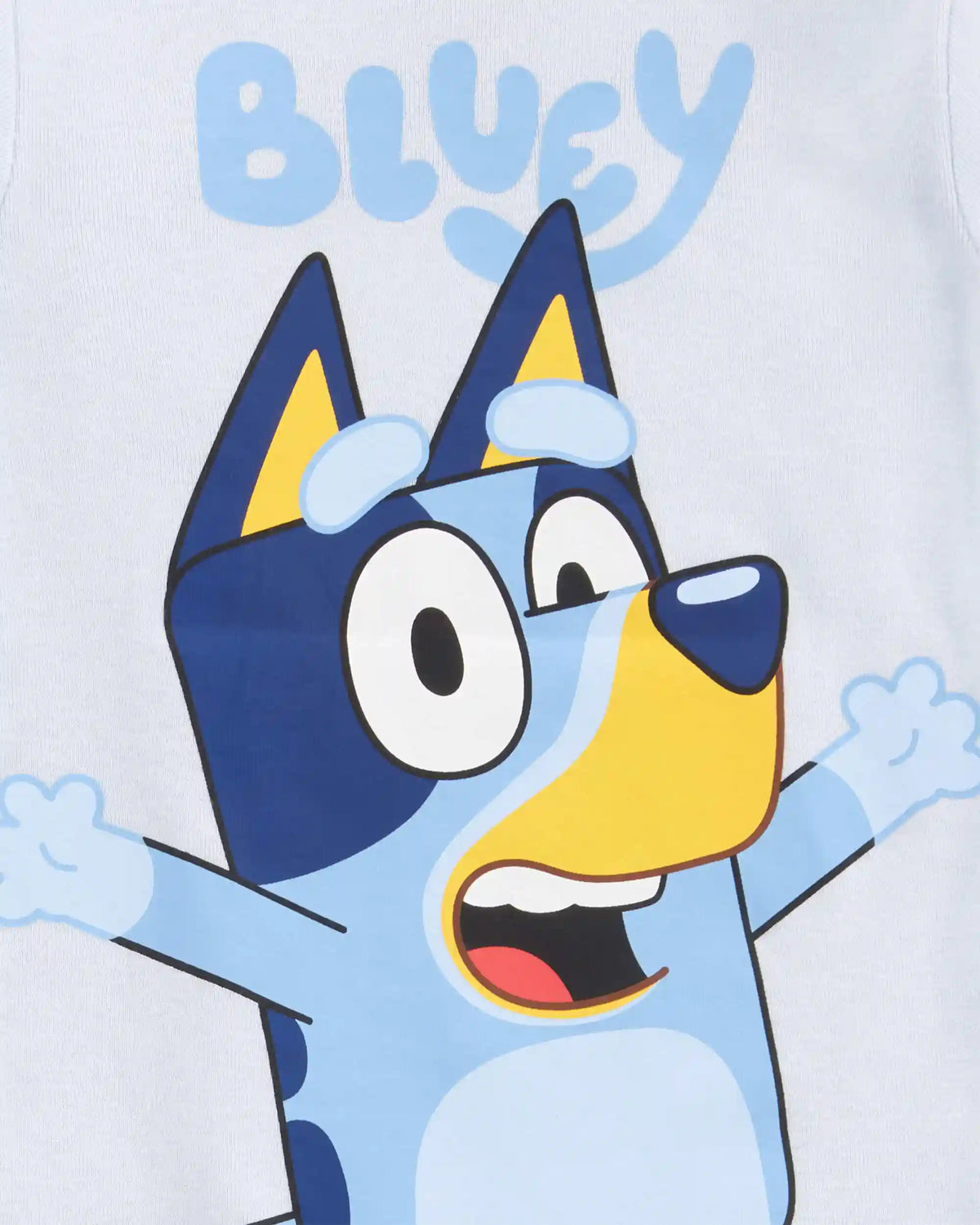 Toddler Boy Bluey™ Snug Fit Cotton 2-Piece Pajamas - Blue
