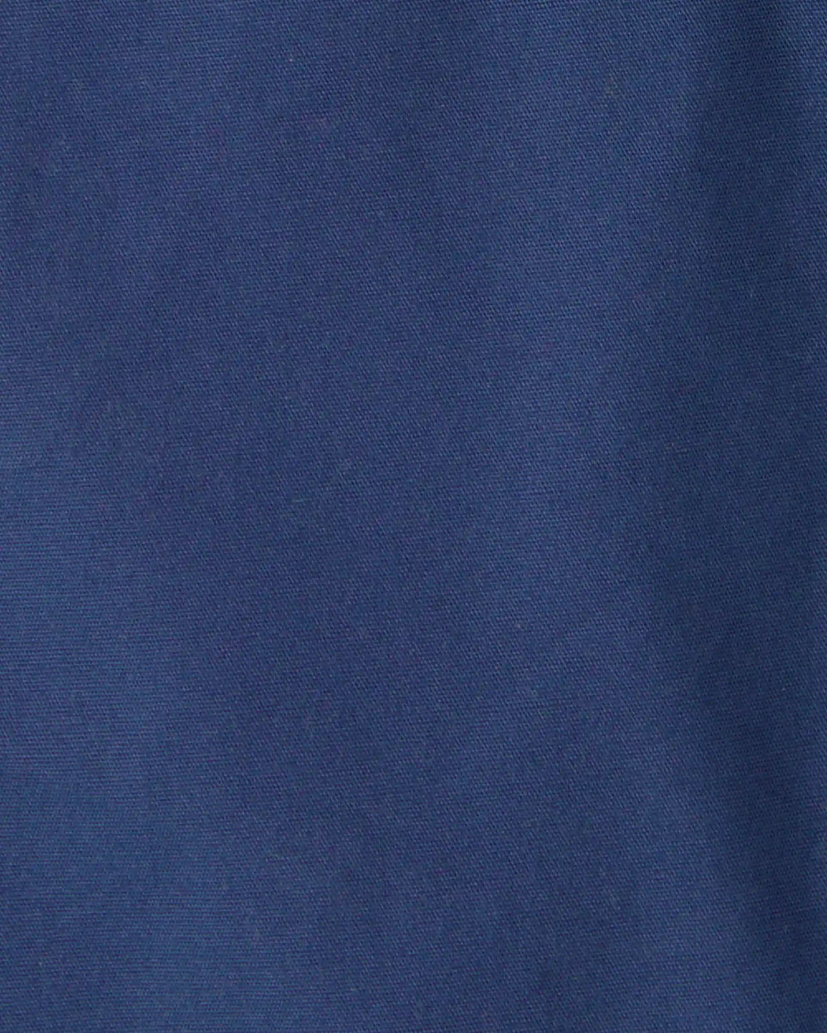 Toddler Boy Canvas Shorts - Blue