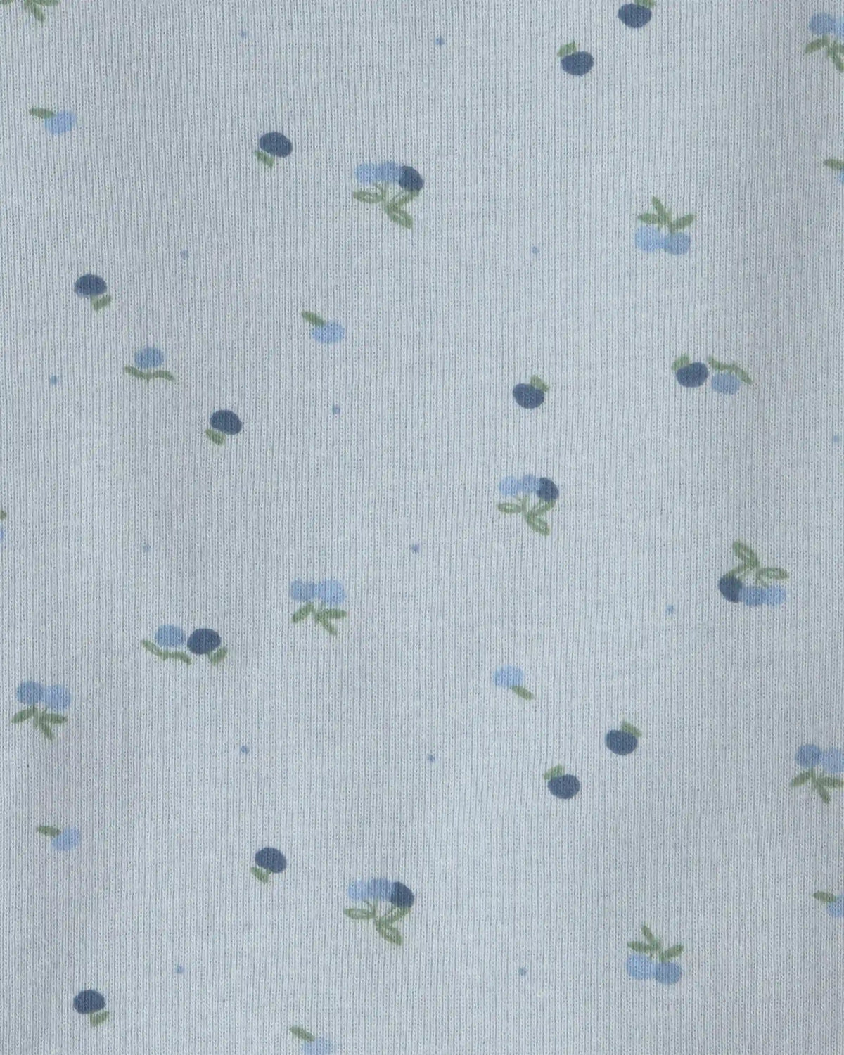 Baby Girl 4-Pack Blueberry Floral Long-Sleeve Bodysuits - Blue