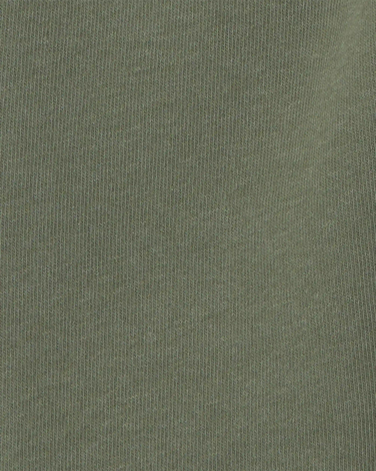 Baby Boy 2-Piece Fox Fleece Top & Pant Set - Grey/Olive Green