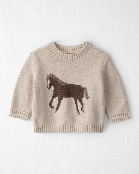 Baby Organic Cotton Horse Sweater Knit Pullover