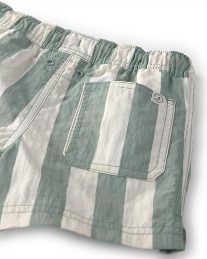 Toddler Boy Recycled Swim Trunks in Stripes