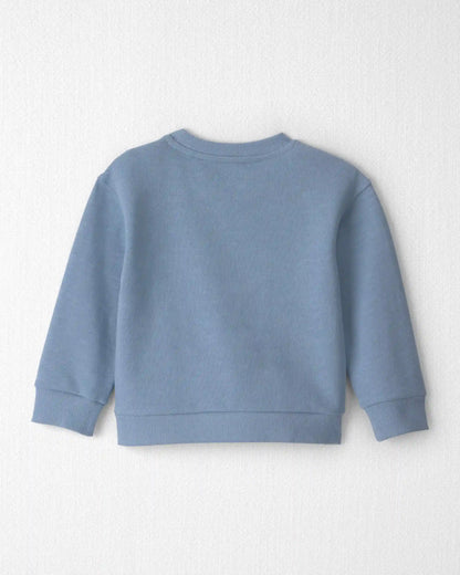Toddler Boy Organic Cotton Big Bro Pullover