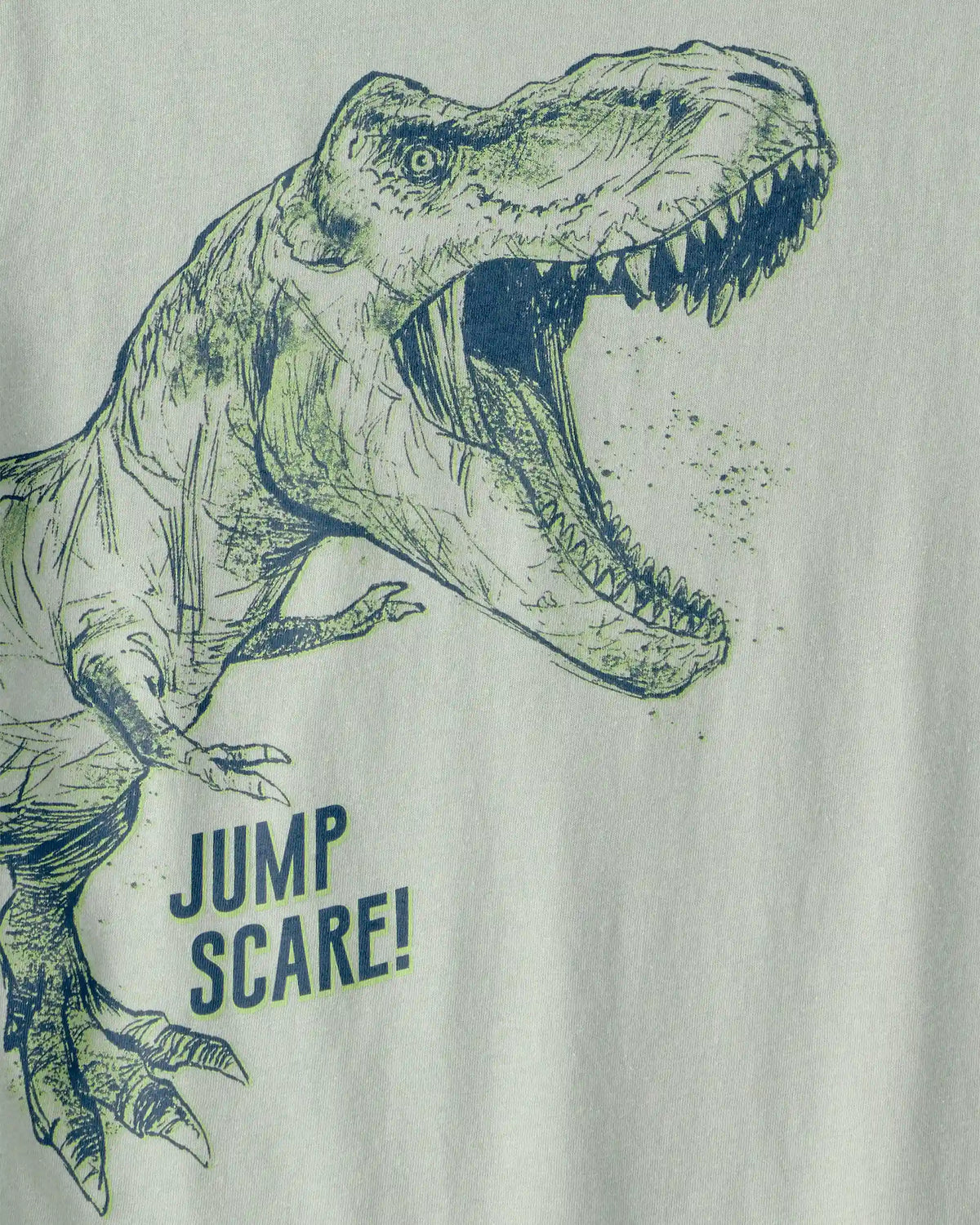 Boys Dinosaur Graphic Tee - Green