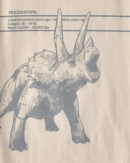 Boys Triceratops Dinosaur Graphic Tee - Cream