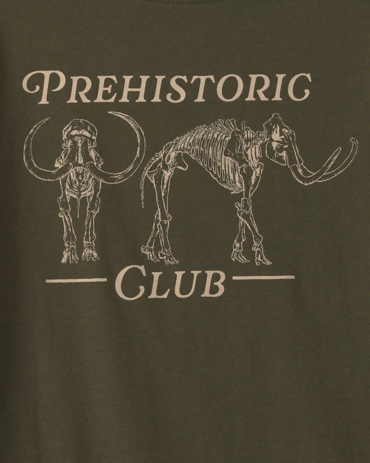 Boys 'Prehistoric Club' Graphic Tee - Olive Green