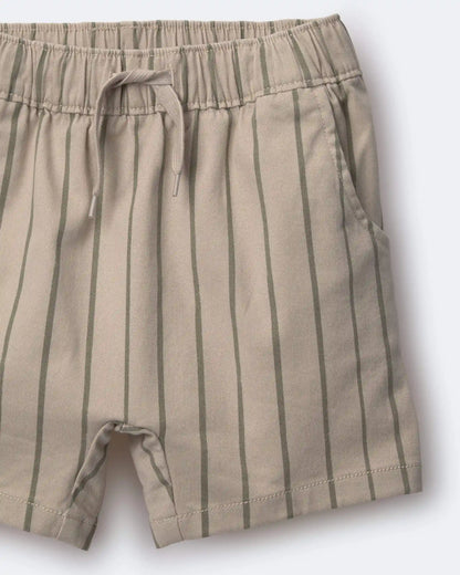 Toddler Boy Playground Shorts in Stripes - Khaki/Olive