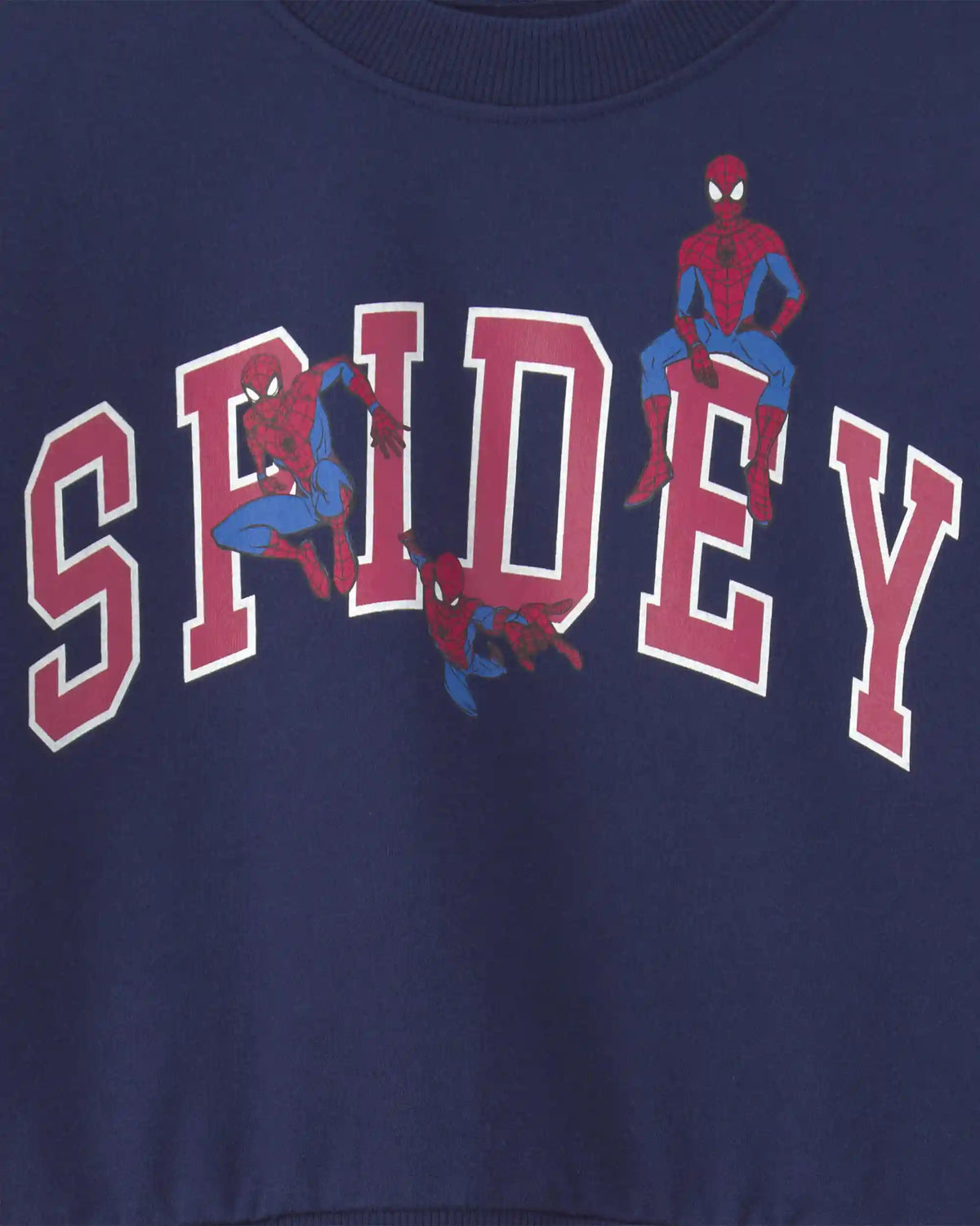 Toddler Boy ©Marvel Spider-Man Pullover Sweatshirt - Navy Blue