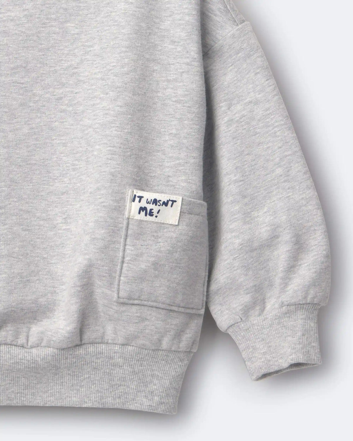 Toddler 'It Wasn't Me!' Otter Sweatshirt™ with Pockets - Heather Grey