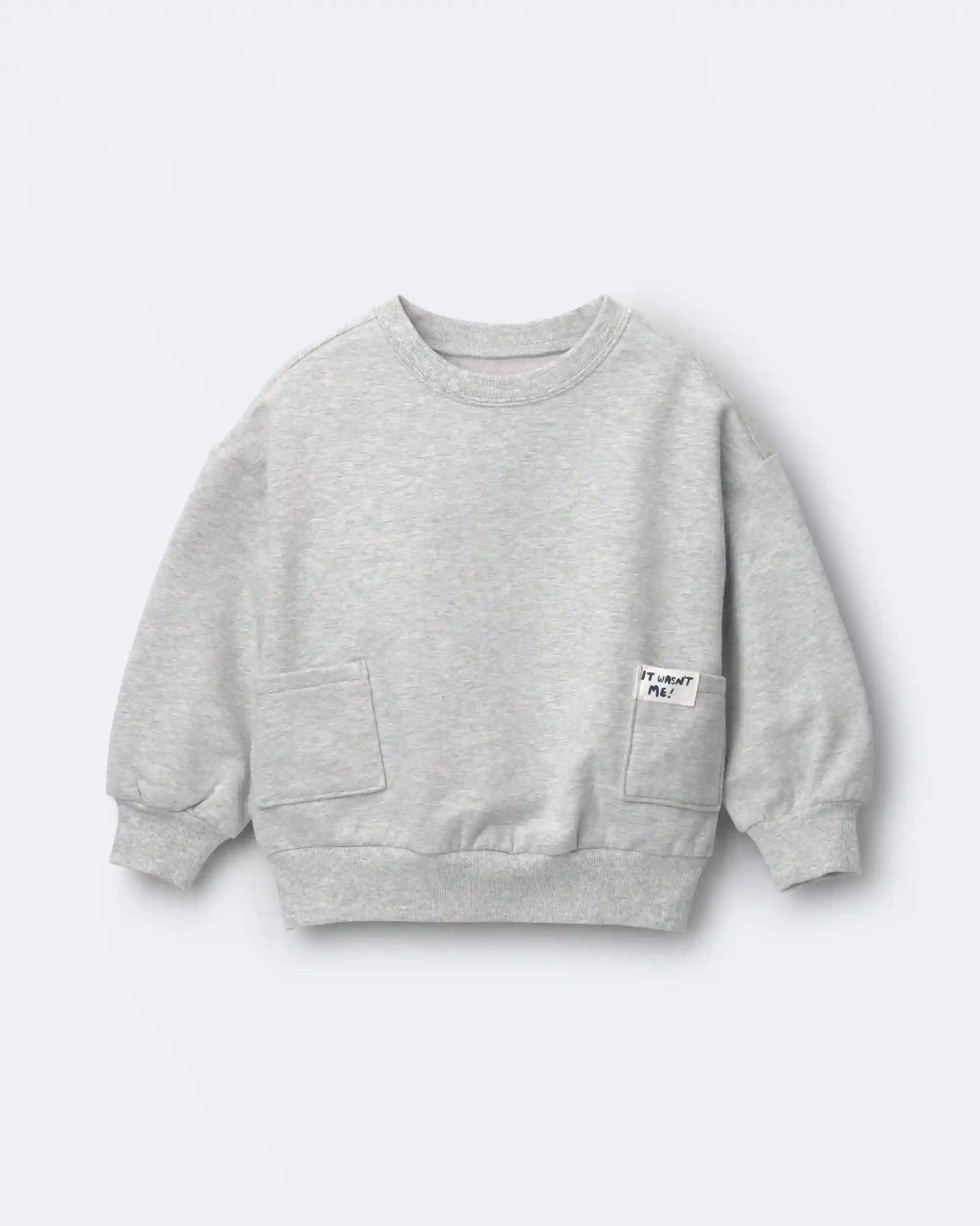 Toddler 'It Wasn't Me!' Otter Sweatshirt™ with Pockets - Heather Grey