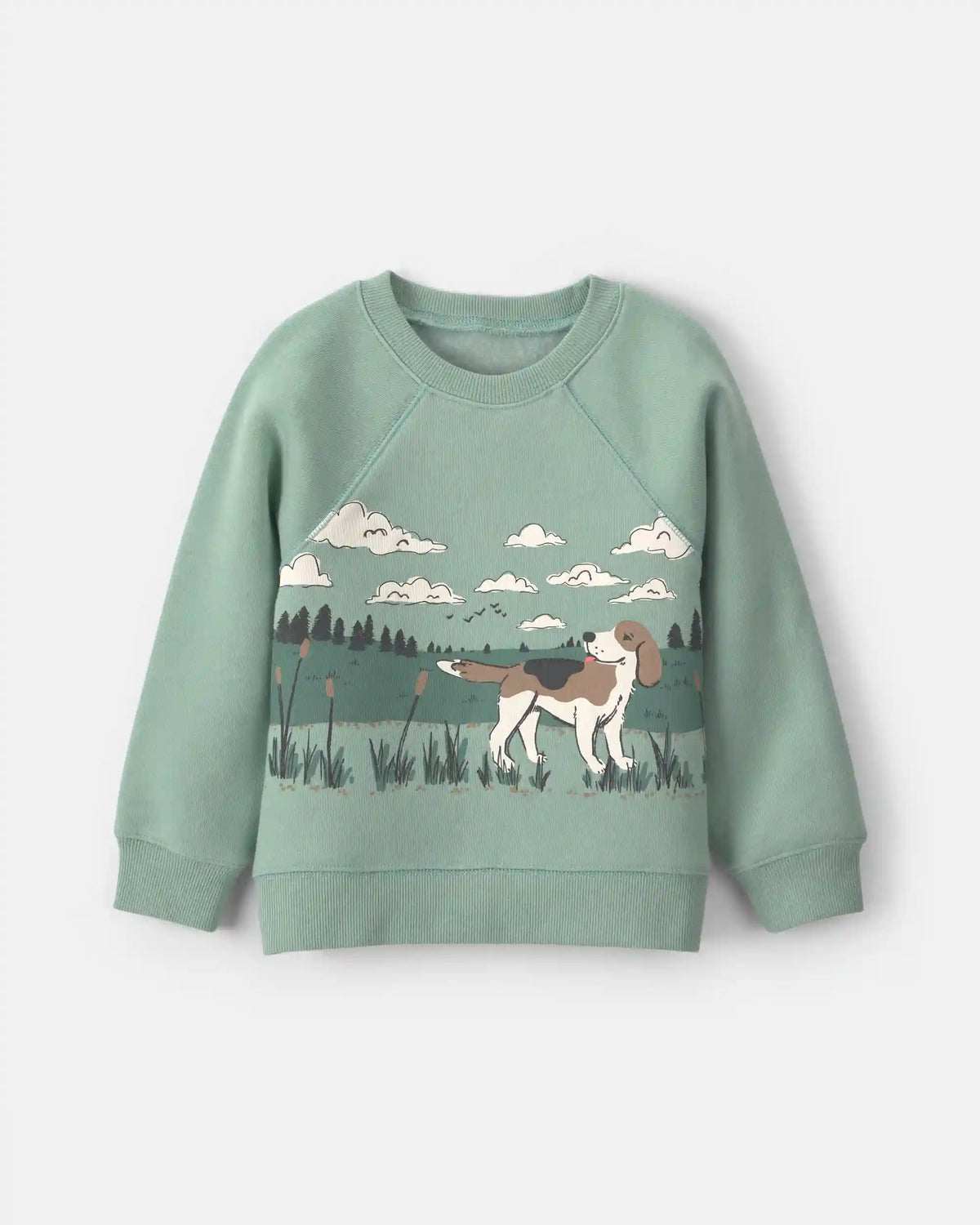 Toddler Boy Dog Fleece Pullover Sweatshirt - Green