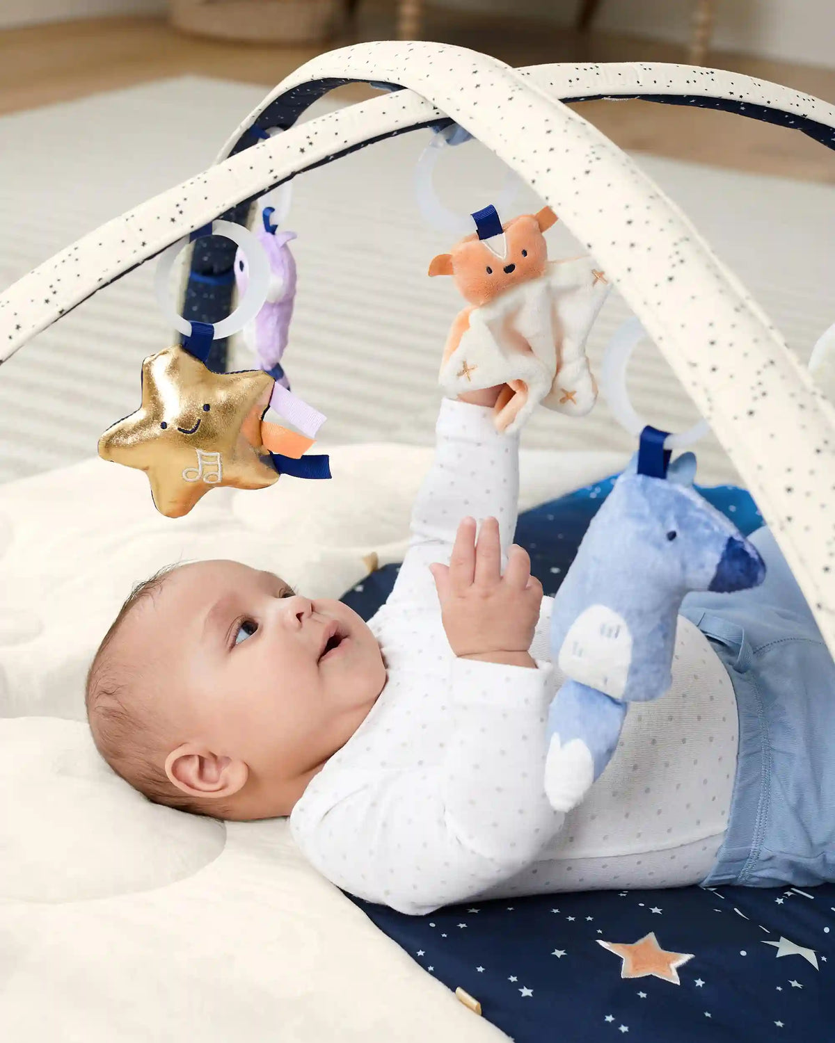 Celestial Dreams Activity Gym