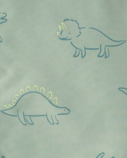 Boys Dinosaur Raincoat - Green