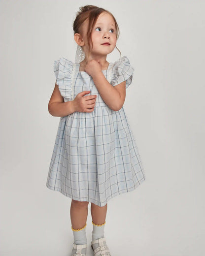 Toddler Girl Plaid Ruffle-Sleeve Dress - Blue/White